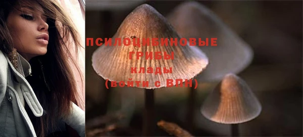 ПСИЛОЦИБИНОВЫЕ ГРИБЫ Алексин