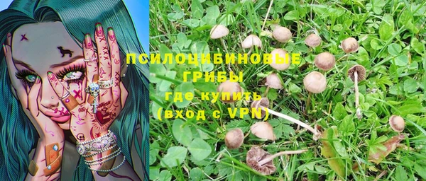 героин Алзамай