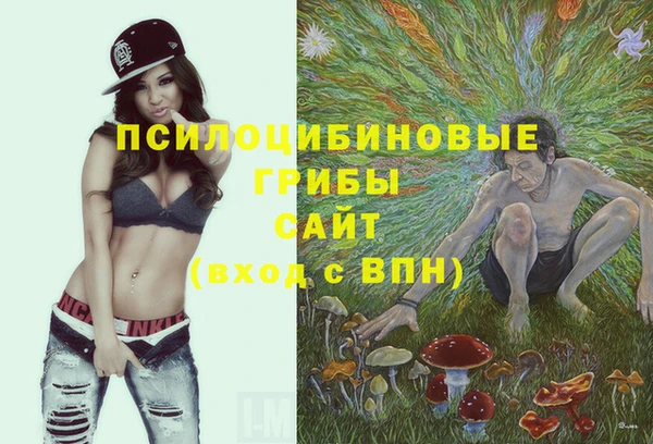 не бодяженный Абаза
